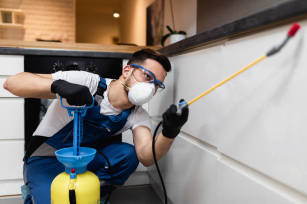 Best Best Pest Control Companies  in Flint Hill, MO