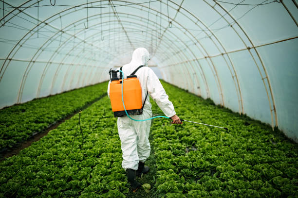 Best Pest Removal Services  in Flint Hill, MO