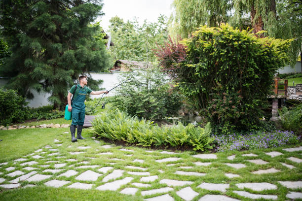 Best Pest Inspection Near Me  in Flint Hill, MO