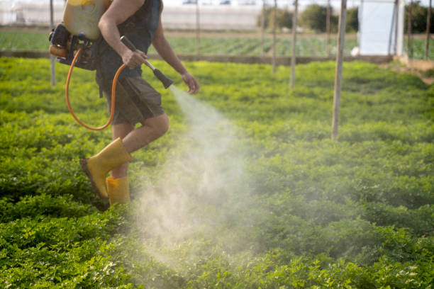 Reliable Flint Hill, MO Pest Control Solutions