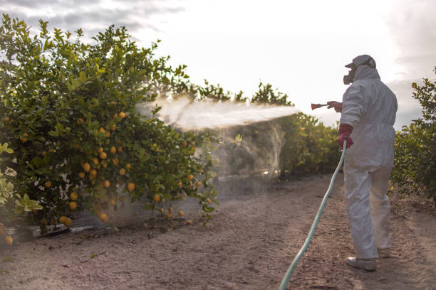 Best Cockroach Control Services  in Flint Hill, MO