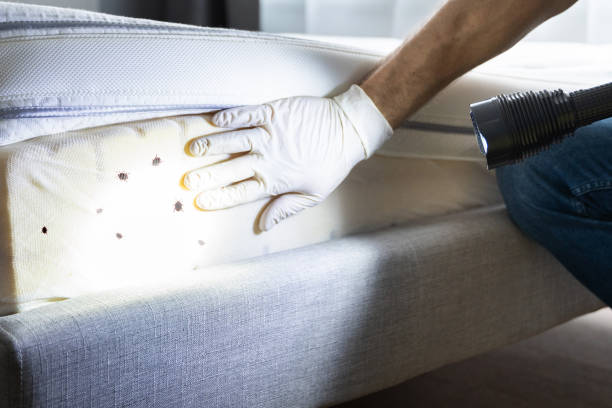 Best Best Pest Control Companies  in Flint Hill, MO