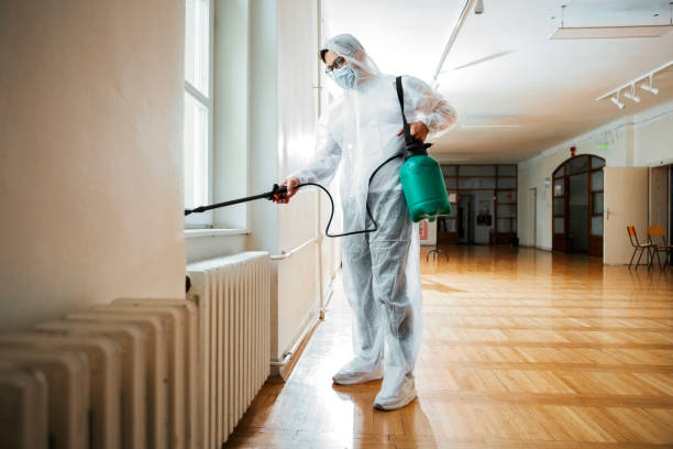 Best Local Pest Control Services  in Flint Hill, MO
